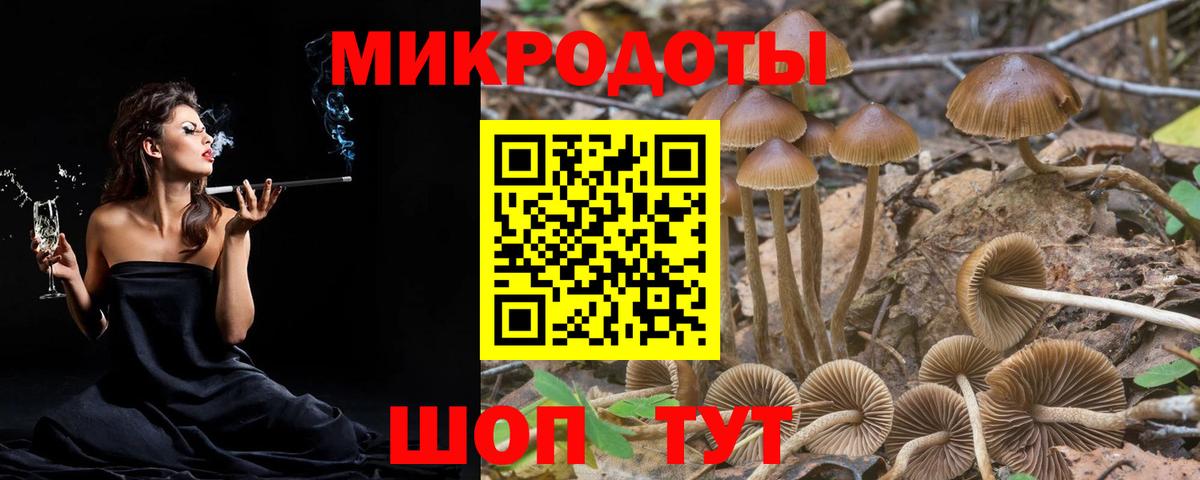 Галлюциногенные грибы ЛСД Ростов Великий