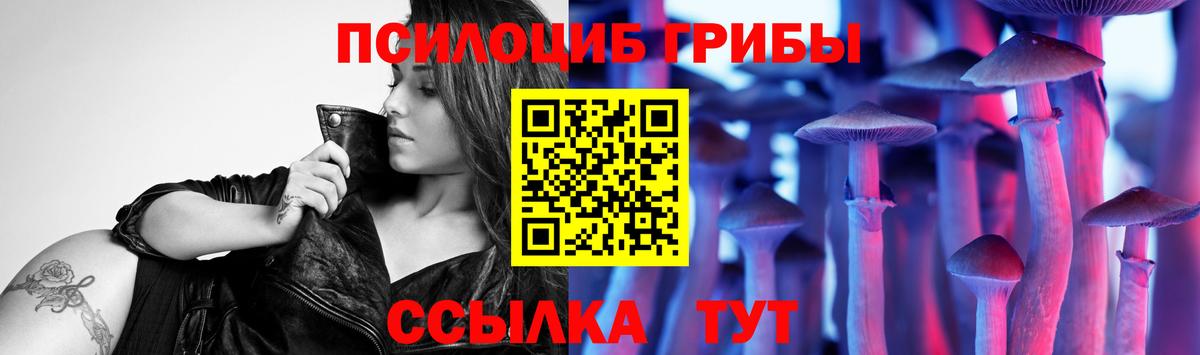 Галлюциногенные грибы прущие грибы  Вход с VPN  Ростов Великий 
